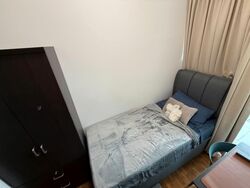 The Rochester Residences (D5), Apartment #604420311